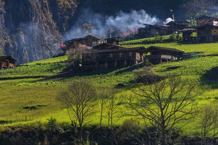 丙中洛雾里村-丙中洛-雾里村-桃花-田园风格 图片素材