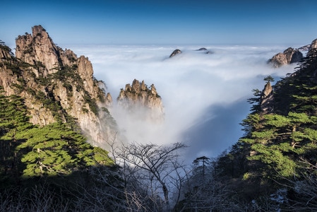 黄山-山-松-云海-黄山市 图片素材