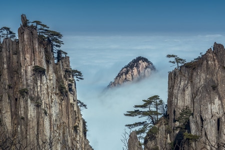 黄山-山-松-黄山市-安徽 图片素材