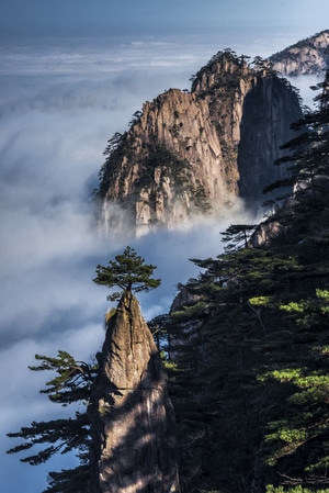 黄山-山-松-云海-安徽 图片素材