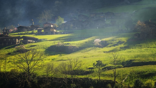 丙中洛雾里村-丙中洛-雾里村-桃花-田园风格 图片素材
