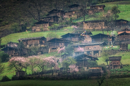 丙中洛雾里村-丙中洛-雾里村-桃花-乡村 图片素材