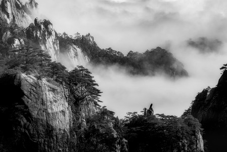 黄山-山-松-云海-安徽 图片素材