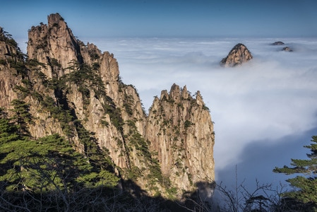黄山-山-松-云海-安徽 图片素材