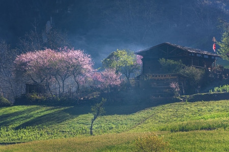 丙中洛雾里村-丙中洛-雾里村-桃花-田园风格 图片素材