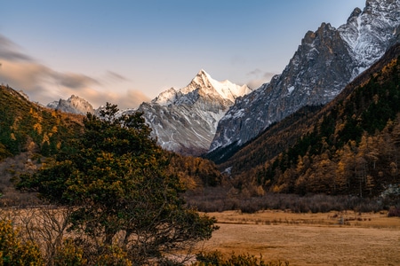 四川-稻城亚丁-草-深秋-旅行 图片素材