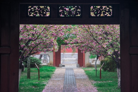 岱庙-泰安-电脑传图-风光-古建筑 图片素材