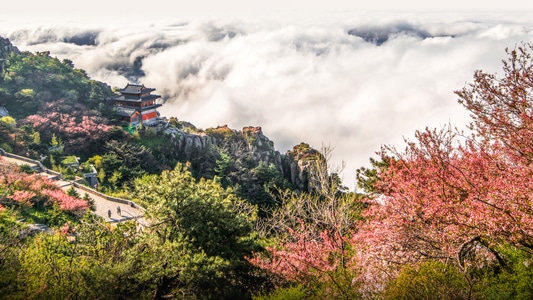 在路上-山东-泰安-泰山-古建筑 图片素材