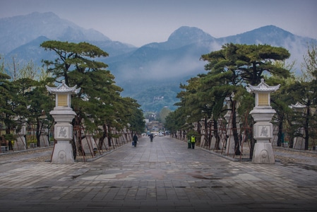 对称美-岱庙-泰安-泰山-风光 图片素材