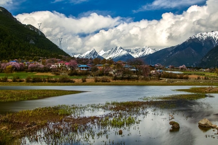 西藏-林芝-电脑传图-雪山-山村 图片素材