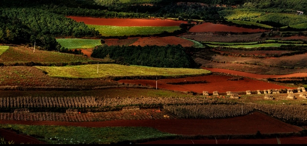田园-色彩-红土地-云南-冬季 图片素材