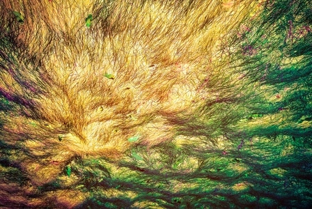 苹果手机-我要上封面-象印-色彩-记录 图片素材