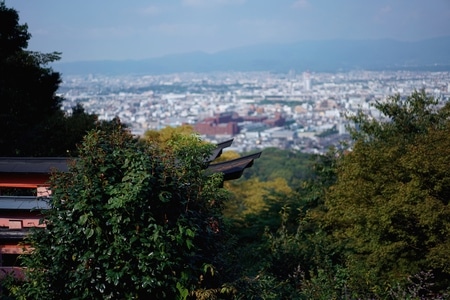 风光-日本-旅行-风景-鸟居 图片素材