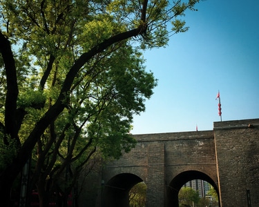 生活纪实-iphone-沿途-树-城墙 图片素材