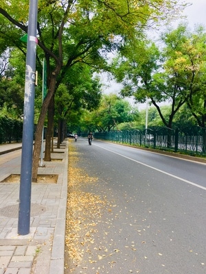 色彩-iphone-车道-道路-马路 图片素材